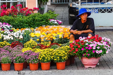 Chợ hoa Tết ở Cần Thơ: Giá niêm yết, giảm sâu vẫn bị khách "ngó lơ"