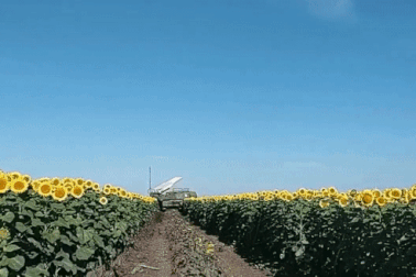 Ukraine phóng tên lửa "Ngón tay thần chết", bắn hạ UAV hiếm gặp của Nga