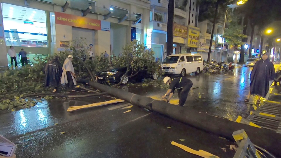 Cây cổ thụ bật gốc, đổ vào ô tô trong cơn mưa - 1 Cây cổ thụ bật gốc, đổ vào ô tô trong cơn mưa - 1