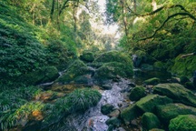 Cảnh đẹp như mơ trên đường chinh phục đỉnh núi hiểm trở bậc nhất Tây Bắc