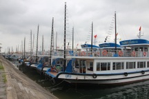 Tàu nằm cảng chưa biết ngày nào hoạt động, cả vạn lao động bị mất việc làm