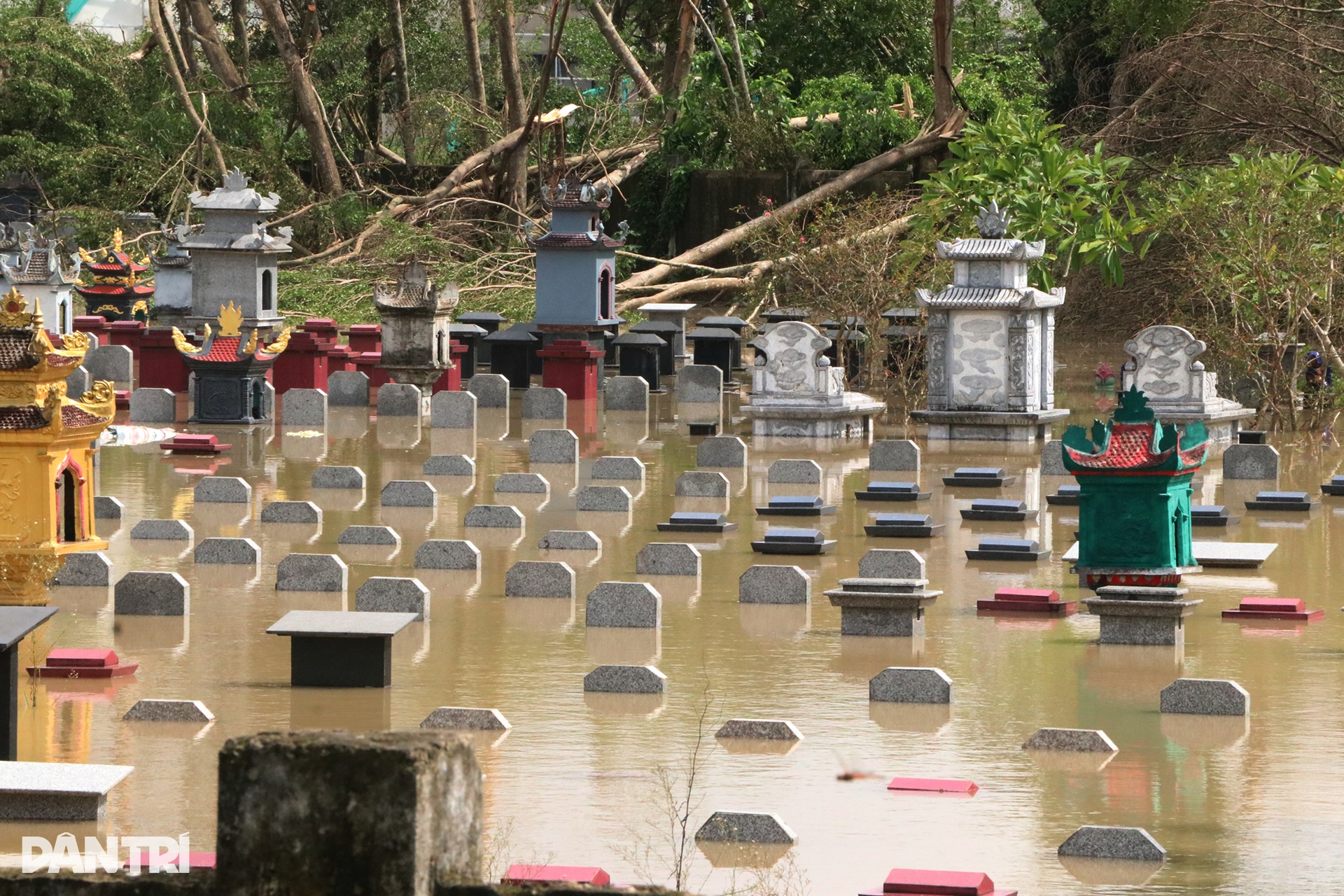 Đê sông Vinh liên tiếp bị sự cố, lực lượng chức năng căng sức vá đường - 10