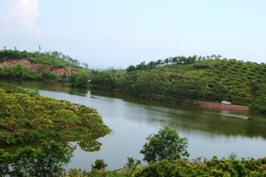  Đình chỉ hợp đồng thuê hồ Bầy Lầy sai phạm