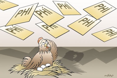 Giải cứu con gà khỏi cảnh "cõng" 14 loại phí