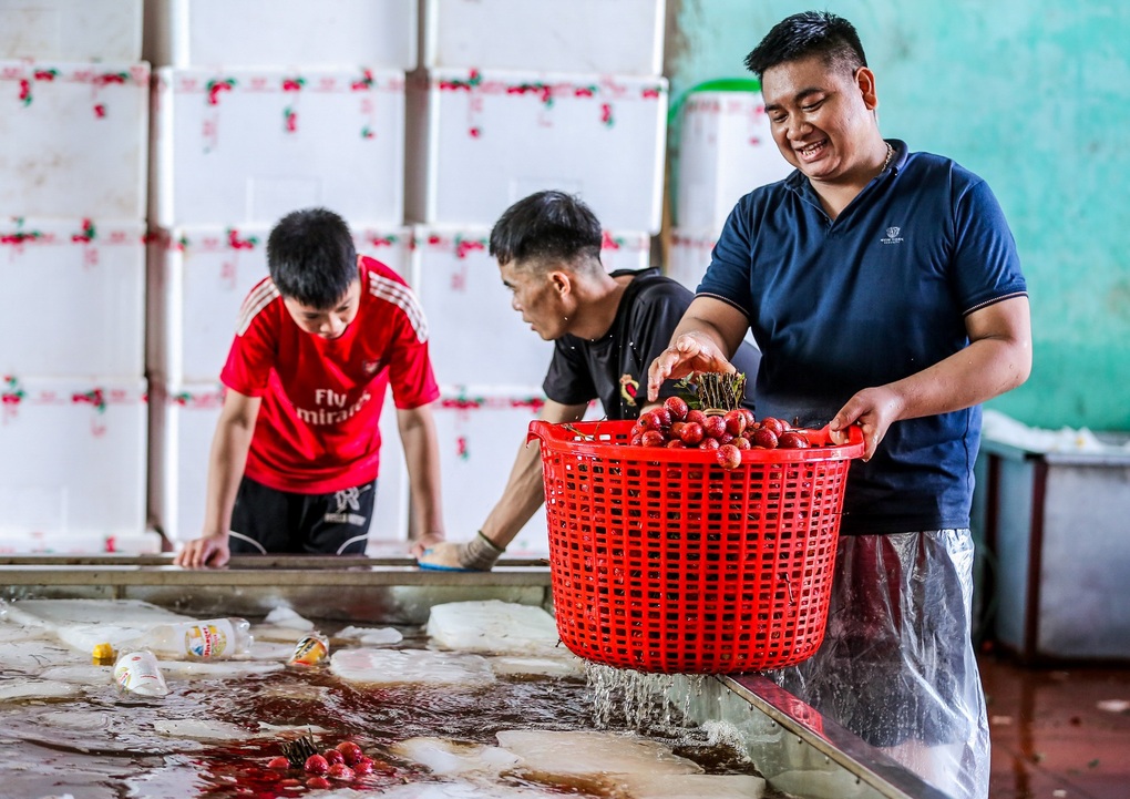 Kiếm tiền triệu mỗi ngày nhờ công việc ăn theo mùa vải - 6 Kiếm tiền triệu mỗi ngày nhờ công việc ăn theo mùa vải - 6