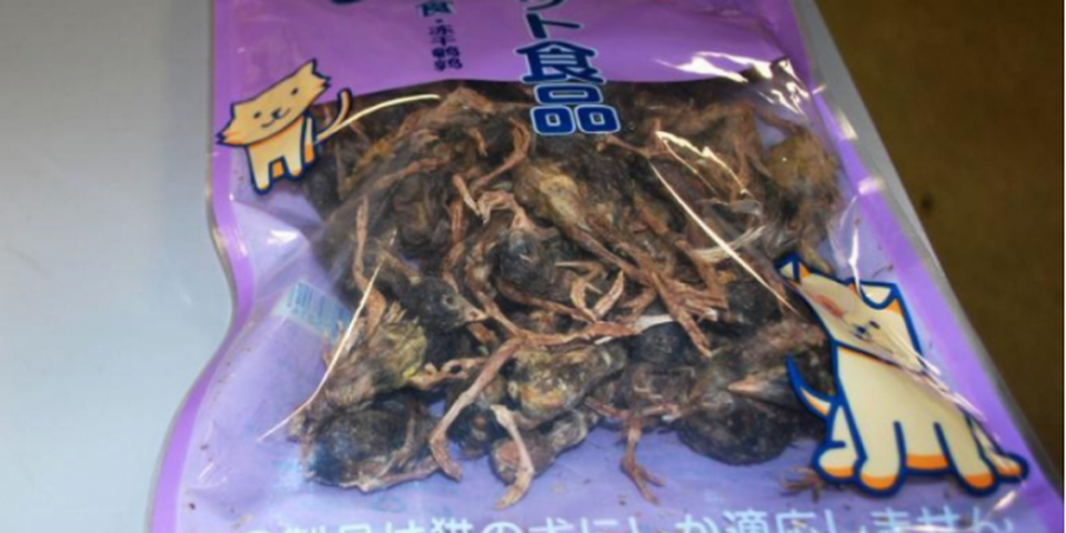 Những vật dụng điên rồ nhất hải quan từng thu giữ từ người nhập cảnh - 7 Những vật dụng điên rồ nhất hải quan từng thu giữ từ người nhập cảnh - 7