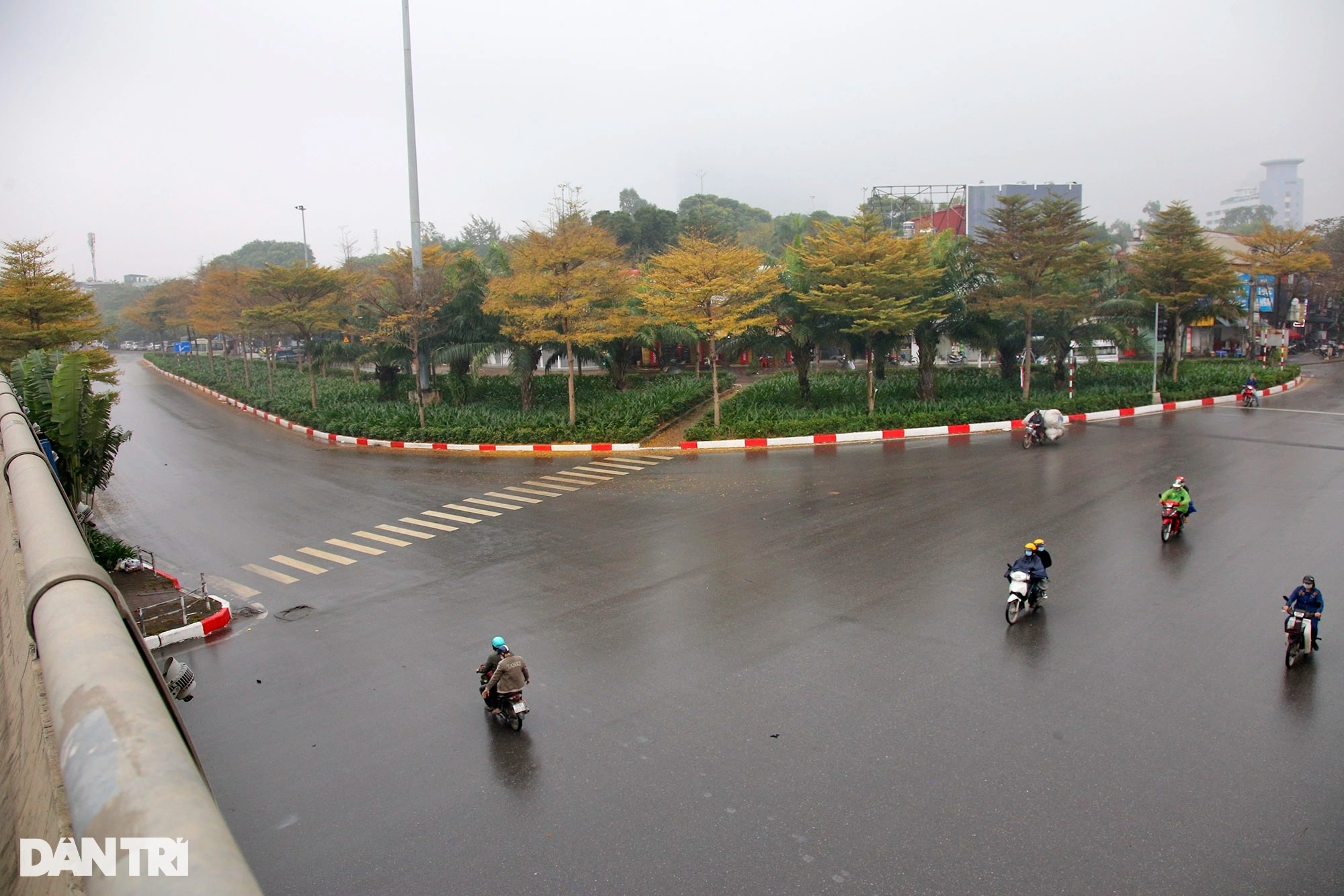 Đẹp ngỡ ngàng những hàng cây bàng lá nhỏ nhuộm vàng đường phố Hà Nội - 7 Đẹp ngỡ ngàng những hàng cây bàng lá nhỏ nhuộm vàng đường phố Hà Nội - 7