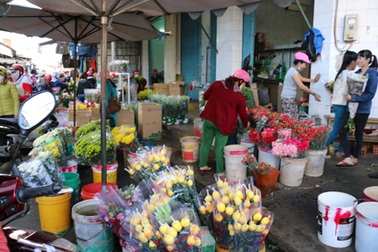 Hoa mất mùa giá cao, tiểu thương lo không đủ hàng để bán