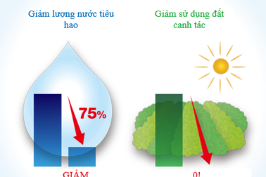 Cách doanh nghiệp Nhật Bản bảo vệ 'nguồn vốn tự nhiên'