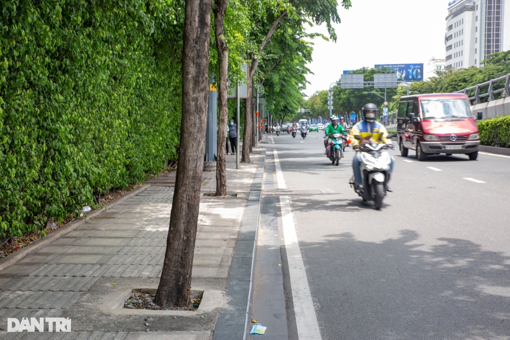 Đục bê tông, giải cứu hàng cây xanh bị bóp nghẹt ở TPHCM - 4 Đục bê tông, giải cứu hàng cây xanh bị bóp nghẹt ở TPHCM - 4