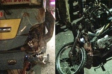 Bắt tài xế xe ô tô khách gây tai nạn chết người