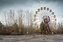 Tìm thấy loài vật miễn nhiễm phóng xạ ở "vùng đất chết" Chernobyl