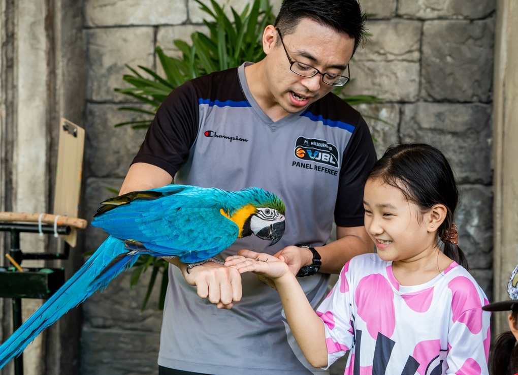 Sun World Ha Long giới thiệu show trình diễn Vũ điệu chim trời - 2 Sun World Ha Long giới thiệu show trình diễn Vũ điệu chim trời - 2