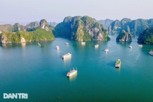 Tàu biển quốc tế siêu sang đồng loạt đưa khách trở lại vịnh Hạ Long