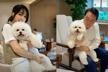 Đệ nhất phu nhân Hàn Quốc kêu gọi ngừng ăn thịt chó