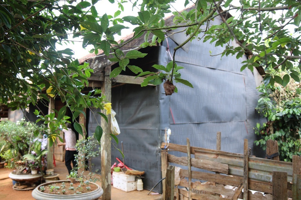 Hoàn cảnh éo le của cụ ông nuôi ba cháu mồ côi trong căn nhà xiêu vẹo - 1 Hoàn cảnh éo le của cụ ông nuôi ba cháu mồ côi trong căn nhà xiêu vẹo - 1