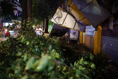 Nhánh cây gãy đè trúng nhà dân sau trận mưa lớn ở TPHCM