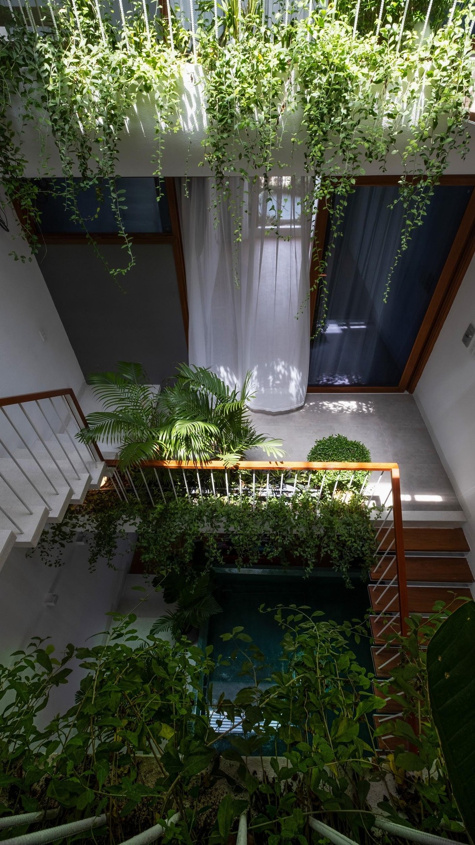 Tám khu vườn bậc thang ẩn trong ngôi nhà phố của gia đình ở Nha Trang - 6
