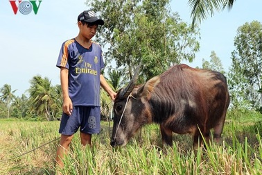 Chuyện chưa kể về 3 cậu bé nghèo ở Sóc Trăng nhặt được 40 triệu đồng