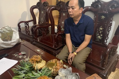 Bắt đối tượng nhét hơn 2,8 kg ma túy vào quả dứa rỗng ruột mang đi tiêu thụ