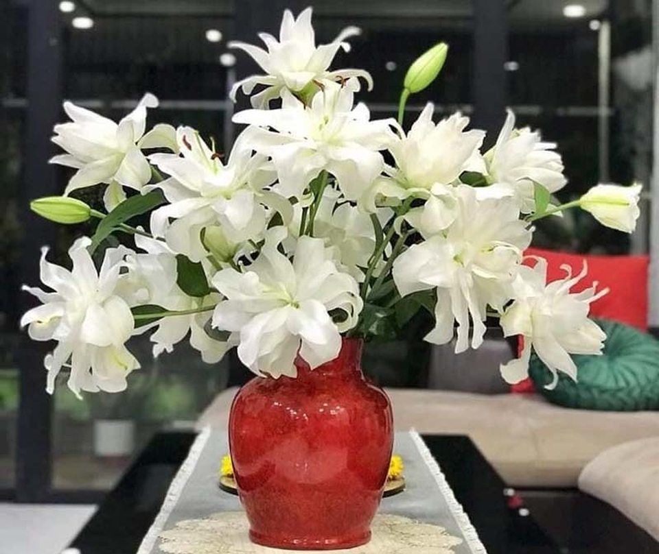Loại hoa ly siêu đắt đỏ, chị em Hà thành ráo riết lùng mua - 3 Loại hoa ly siêu đắt đỏ, chị em Hà thành ráo riết lùng mua - 3