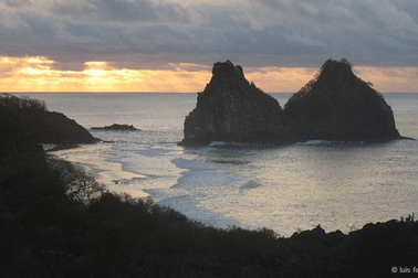 Đảo cóc dị tật ở Brazil