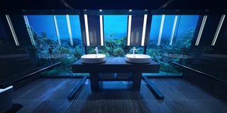 Vợ chồng Việt Hương chi 400 triệu đồng/đêm kỷ niệm ngày cưới dưới đáy biển - 7