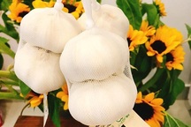 Cuồng hàng Nhật: Mua củ tỏi 100 ngàn đồng về xào mớ rau muống