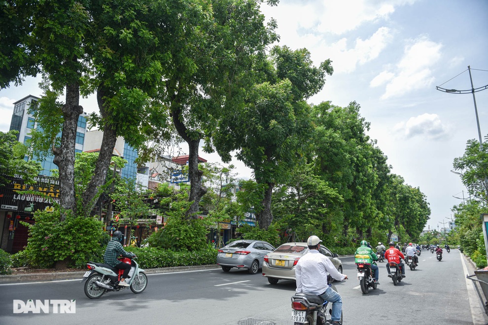Những con đường giúp giải nhiệt giữa ngày nắng nóng ở Hà Nội - 13 Những con đường giúp giải nhiệt giữa ngày nắng nóng ở Hà Nội - 13