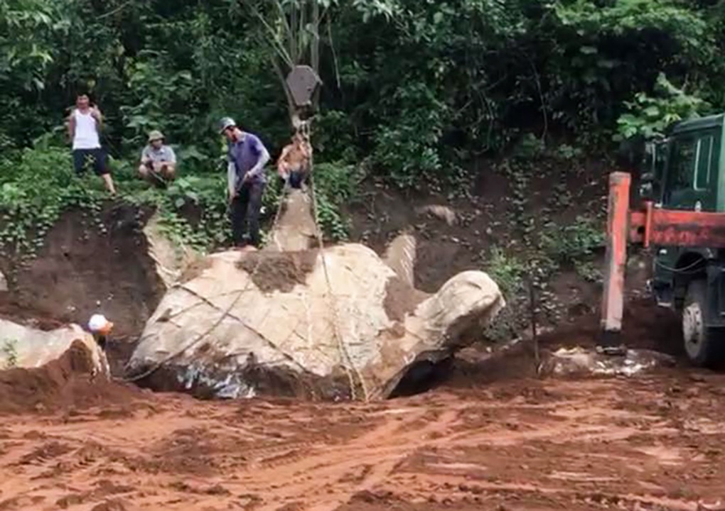 Xôn xao vụ đào được tảng đá hình con rùa, khách trả giá hơn 1 tỷ đồng - 1 Xôn xao vụ đào được tảng đá hình con rùa, khách trả giá hơn 1 tỷ đồng - 1