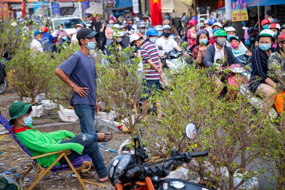 Chợ hoa Xuân ngày cuối năm: Bán tháo đồng giá - 1 Chợ hoa Xuân ngày cuối năm: Bán tháo đồng giá - 1