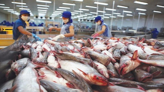 Gần 700 doanh nghiệp Việt được phép xuất khẩu thủy sản vào Đài Loan - Ảnh 1. Gần 700 doanh nghiệp Việt được phép xuất khẩu thủy sản vào Đài Loan - Ảnh 1.