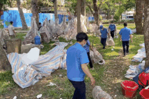 Thương lái đẫm nước mắt nhìn cảnh hàng nghìn chậu hoa Tết chuyển lên xe rác