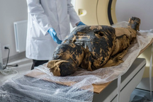 "Bí ẩn kép" xác ướp mang thai trong quan tài nam tu sĩ Ai Cập