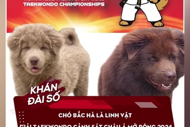 Chó Bắc Hà là linh vật giải Taekwondo Cảnh sát châu Á mở rộng 2024