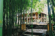 Ngôi nhà trong mơ trên đỉnh núi gần Hà Nội: Cá đầy ao, vườn đầy hoa trái