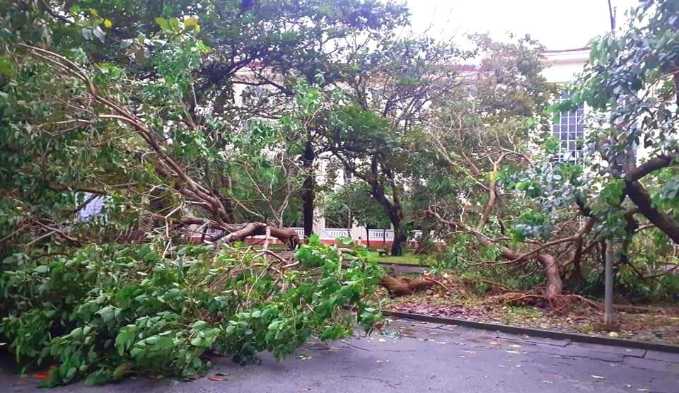 Bão lũ dồn dập, Đại học Huế thiệt hại nặng nề - 6