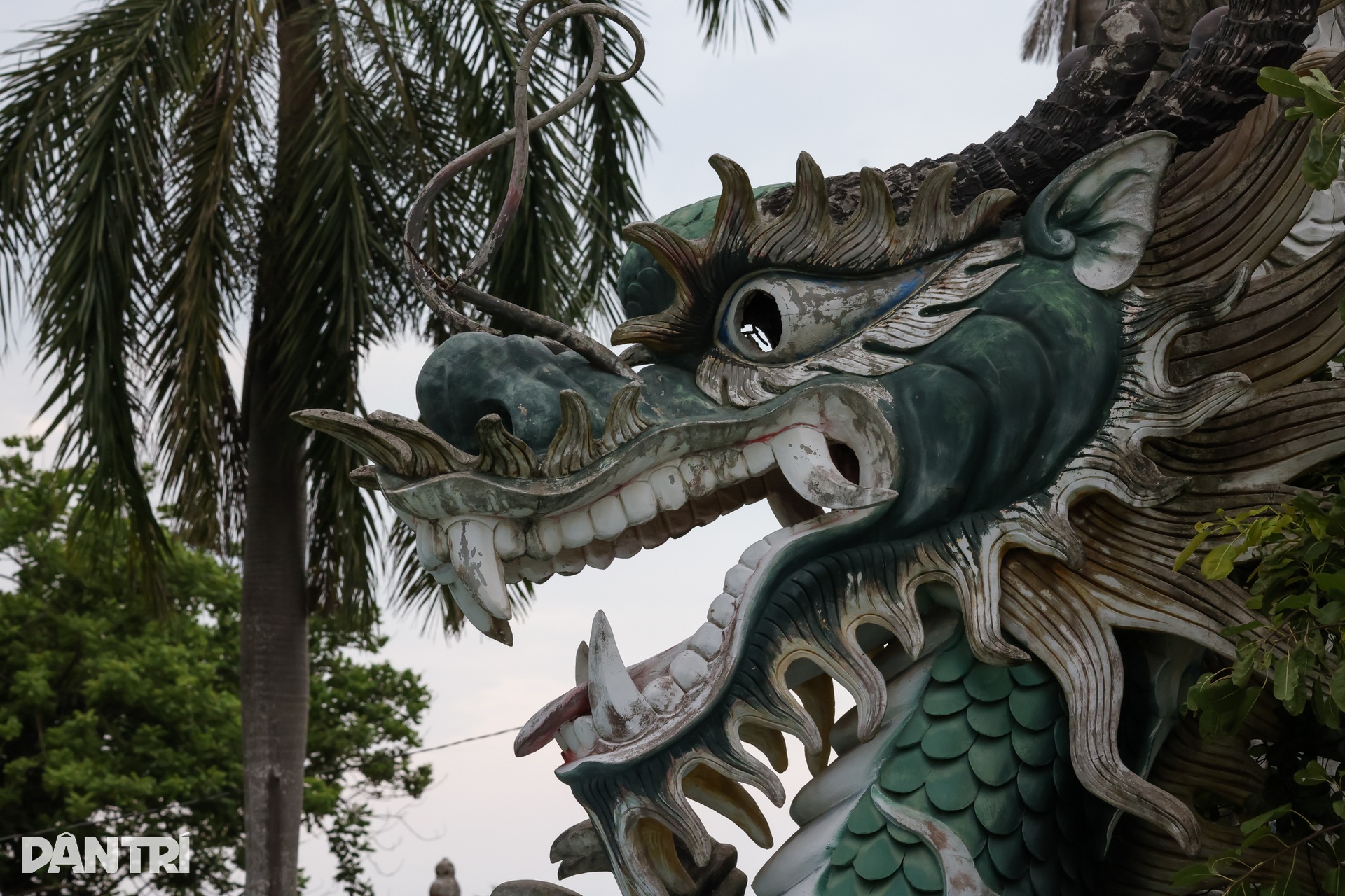 Khung cảnh hoang tàn bên trong khu du lịch bỏ hoang ở Phan Thiết - 8