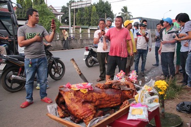 Tài xế mang heo “cúng” trạm thu phí BOT tuyến tránh Biên Hòa