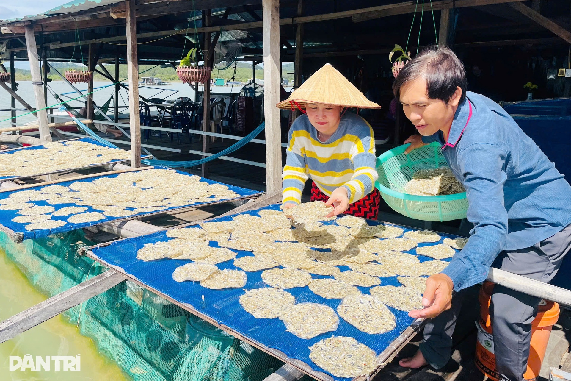Tay trắng lên núi, người miền Tây dựng làng chài, đổi vận ở lòng hồ Sê San - 7 Tay trắng lên núi, người miền Tây dựng làng chài, đổi vận ở lòng hồ Sê San - 7