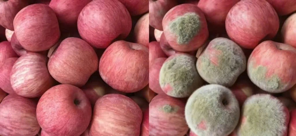 Dùng AI tạo ảnh hàng bị lỗi: Chiêu lừa mới khiến người bán “khóc ròng” - 3