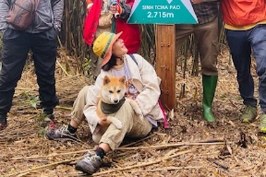 Chú chó Chopper gây sốt vì chinh phục 7 đỉnh núi khó trèo ở Việt Nam