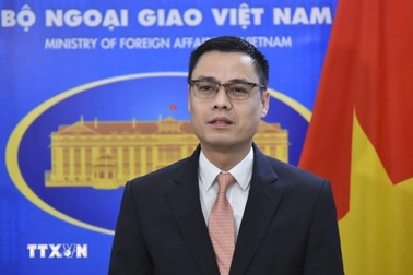 Khẳng định đóng góp tích cực của Việt Nam trong giải quyết các vấn đề toàn cầu