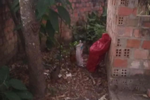 Phát hiện thi thể bé sơ sinh sau vườn nhà dân