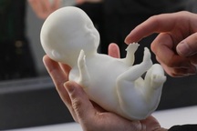 Chiêm ngưỡng quá trình tạo ra mô hình bào thai bằng kỹ thuật in 3D