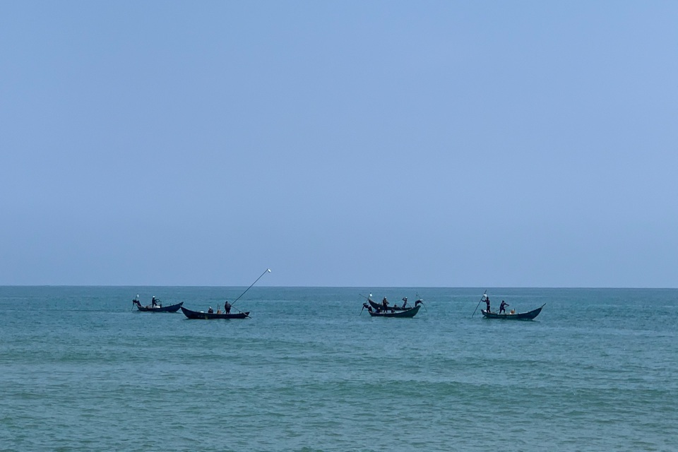 Bắt loài ốc óng ánh, ngư dân bỏ túi tiền triệu mỗi ngày - 1 Bắt loài ốc óng ánh, ngư dân bỏ túi tiền triệu mỗi ngày - 1