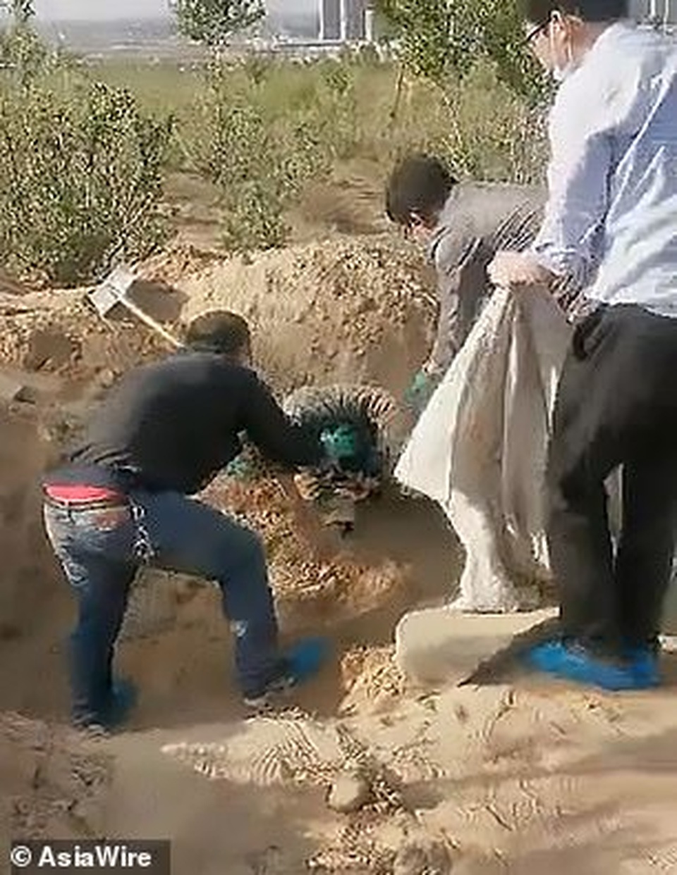 Người mẹ tàn tật sống sót thần kỳ sau 72 giờ bị con trai chôn sống - 1 Người mẹ tàn tật sống sót thần kỳ sau 72 giờ bị con trai chôn sống - 1