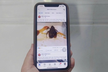 Xác minh thông tin gián xuất hiện trong món ăn tại nhà hàng