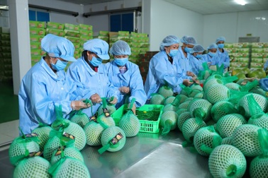Thế hệ F2 tiếp quản “ghế nóng” tại nhiều doanh nghiệp lớn
