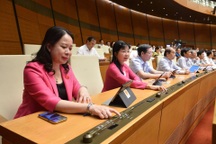 Không thành lập Ban Thanh tra nhân dân tại doanh nghiệp tư